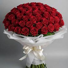 Букет 101 Красная роза Блэк Мэджик в Ливенке Воронежской области