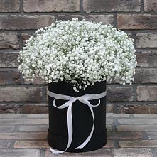 Цветочная композиция из Гипсофила в шляпной коробке в Ливенке Воронежской области