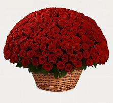 Премиум букет из: Розы в Ливенке Воронежской области